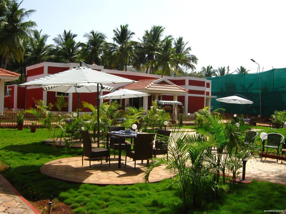 Western Avn Arogya 3*