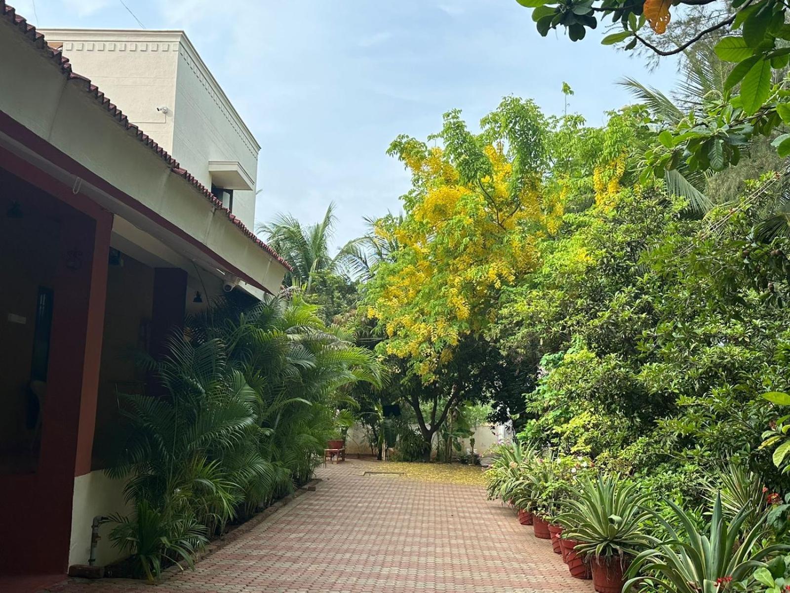 Ashirwad , Rustic , 2 Bedroom Amidst Peacocks