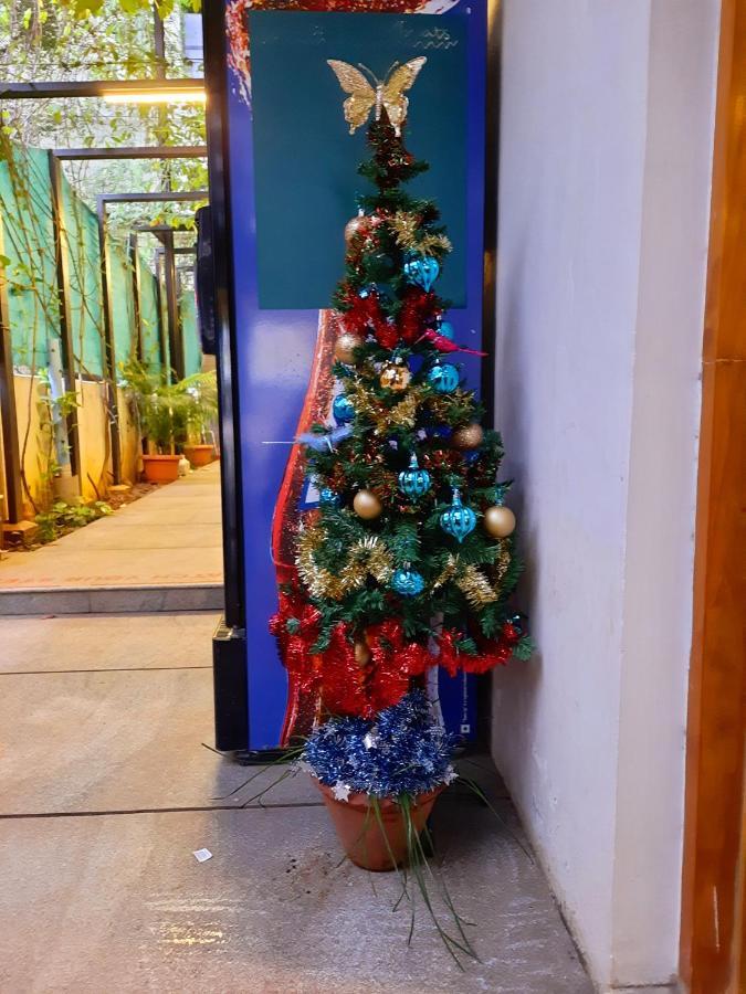 Avea Homestay