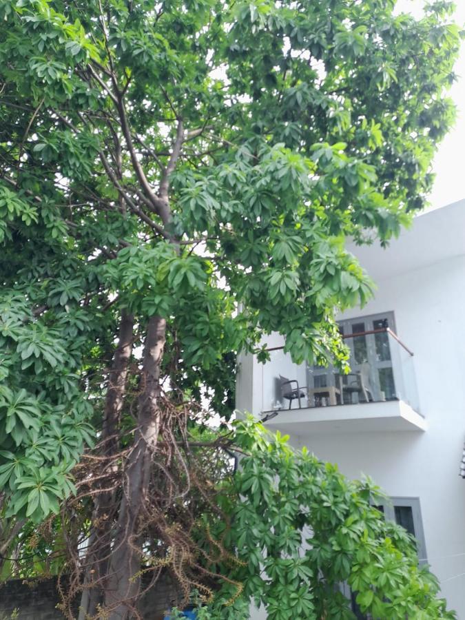 Tamora By Avea * Madurai