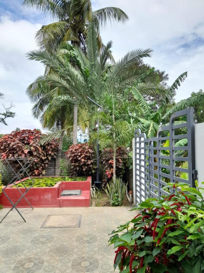 Guest house Tamora By Avea