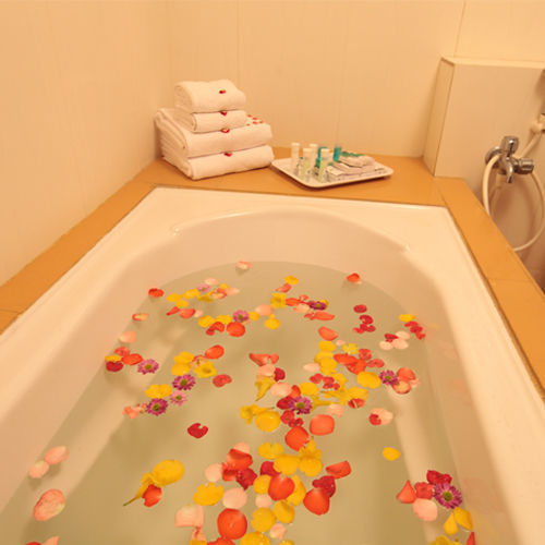 Hotel Star Residency 3*