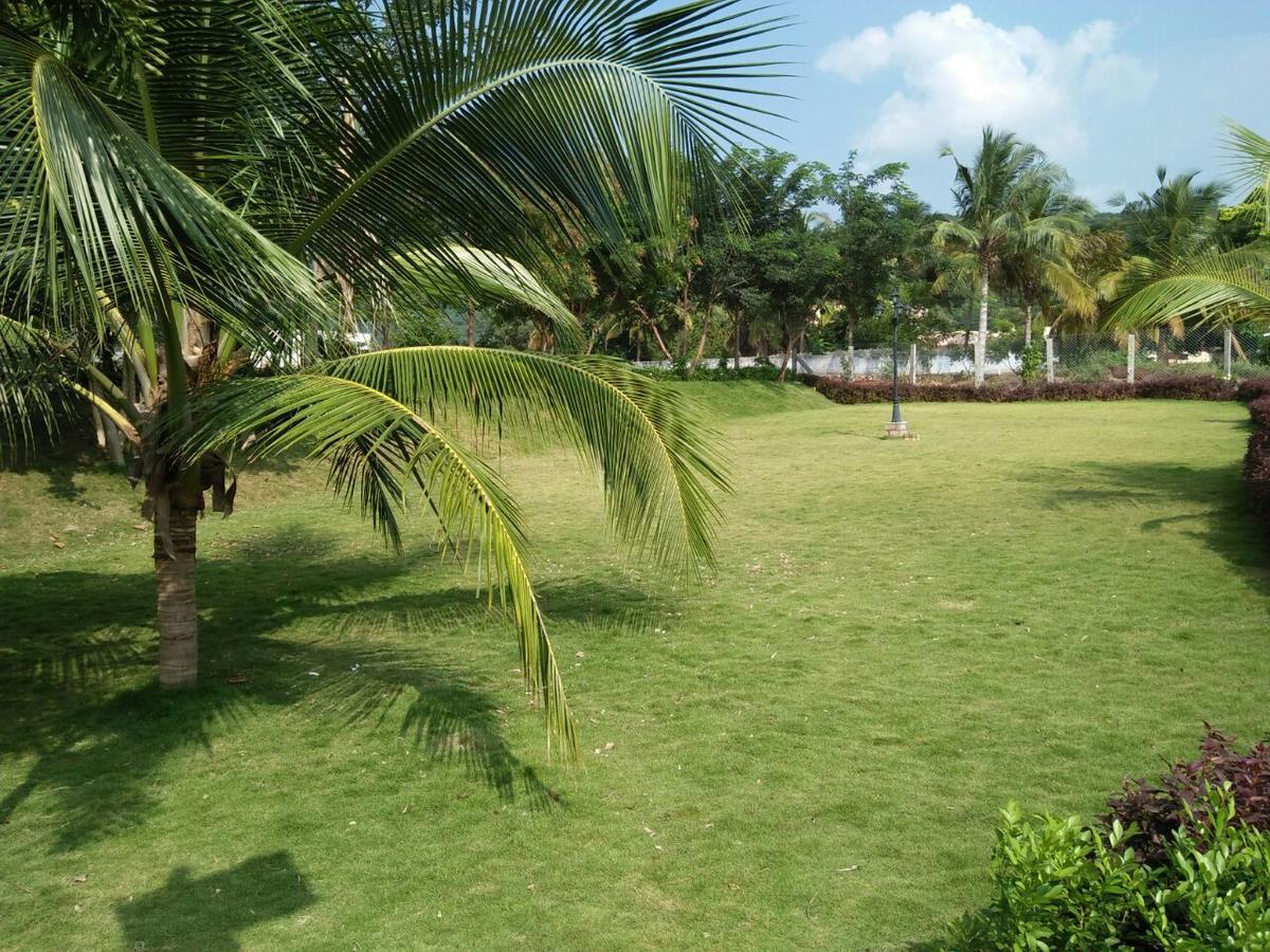 Mount Retreat -